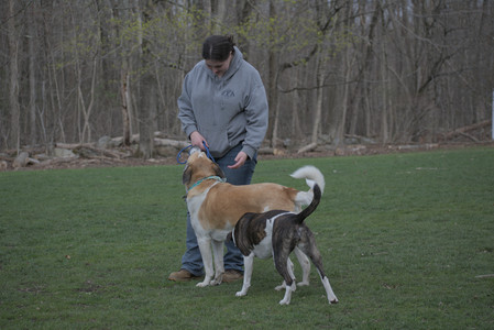 20250418_Detention Pond and Dog Park_DSC_0684_.jpg