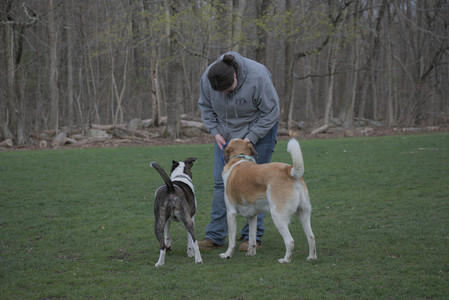 20250418_Detention Pond and Dog Park_DSC_0685_.jpg