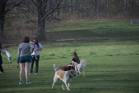 20250422_Dog Park and Birds 2__DSC0066_.jpg