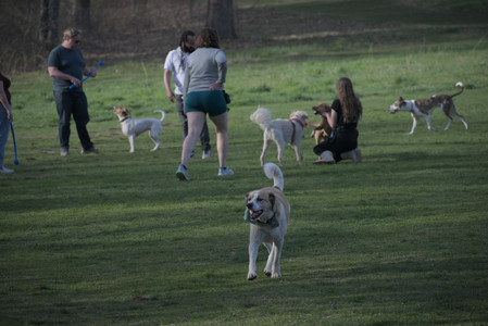 20250422_Dog Park and Birds 2__DSC0069_.jpg