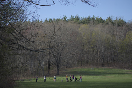 20250422_Dog Park and Birds 2__DSC0082_.jpg