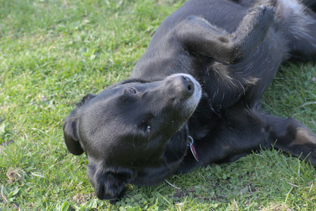 20250422_Dog Park and Birds__DSC0283_.jpg