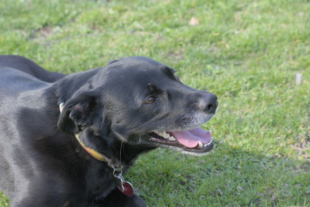 20250422_Dog Park and Birds__DSC0285_.jpg