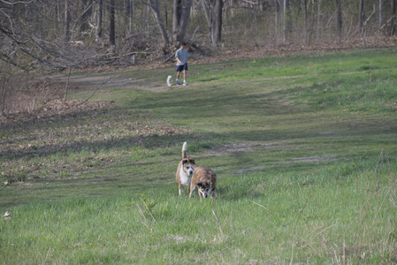20250422_Dog Park and Birds__DSC0515_.jpg