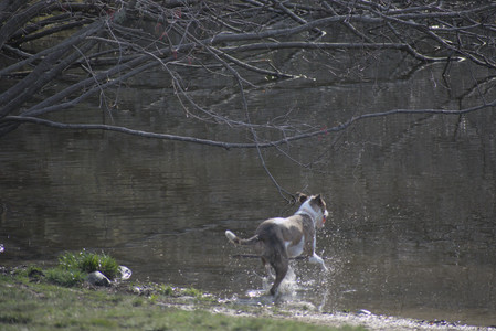 20250422_Dog Park and Birds__DSC0536_.jpg