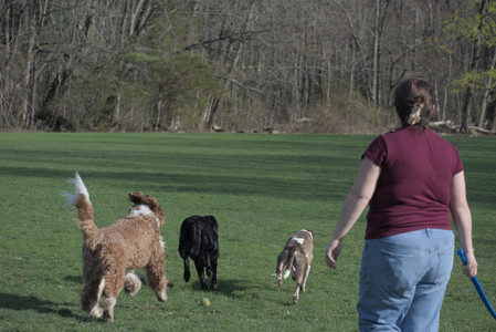 20250422_Dog Park and Birds__DSC0597_.jpg