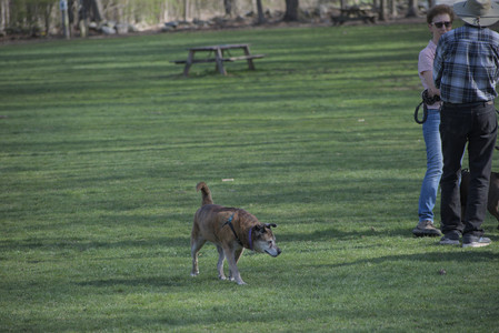 20250422_Dog Park and Birds__DSC0606_.jpg