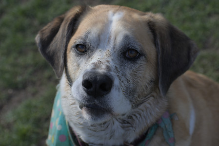 20250422_Dog Park and Birds__DSC0637_.jpg