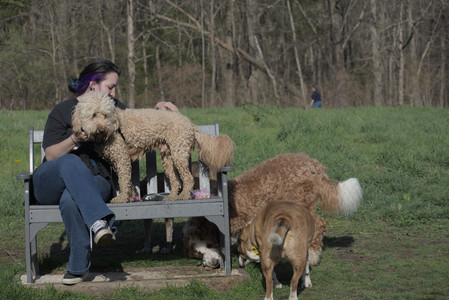 20250422_Dog Park and Birds__DSC0661_.jpg