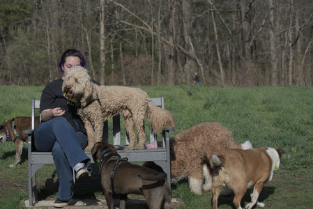 20250422_Dog Park and Birds__DSC0663_.jpg