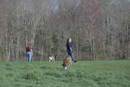 20250422_Dog Park and Birds__DSC0758_.jpg