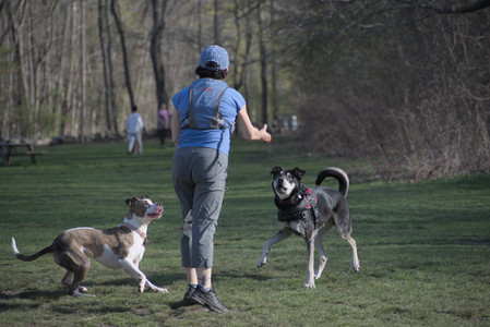 20250422_Dog Park and Birds__DSC0790_.jpg