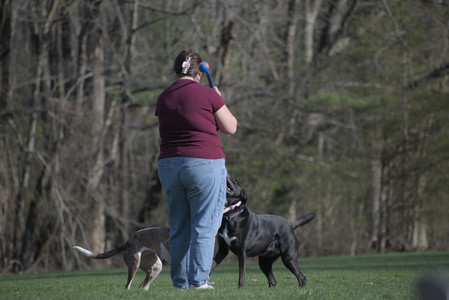 20250422_Dog Park and Birds__DSC0795_.jpg