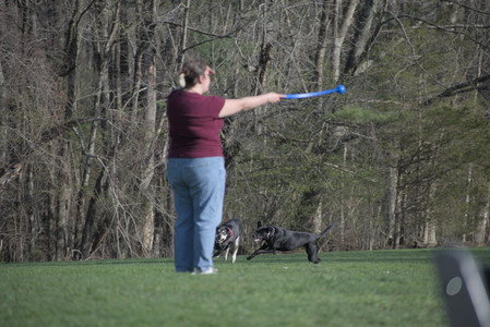 20250422_Dog Park and Birds__DSC0815_.jpg