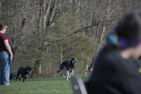 20250422_Dog Park and Birds__DSC0816_.jpg