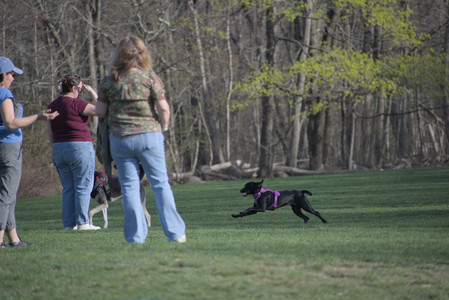 20250422_Dog Park and Birds__DSC0843_.jpg