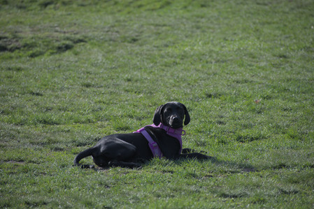 20250422_Dog Park and Birds__DSC0869_.jpg