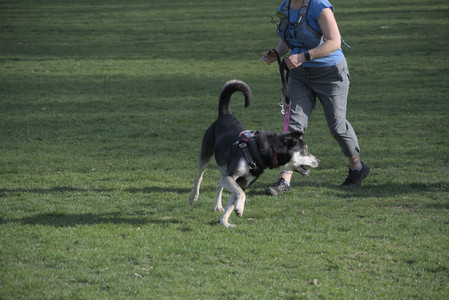 20250422_Dog Park and Birds__DSC0907_.jpg