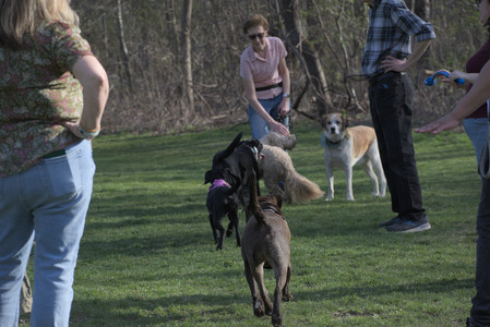 20250422_Dog Park and Birds__DSC0921_.jpg