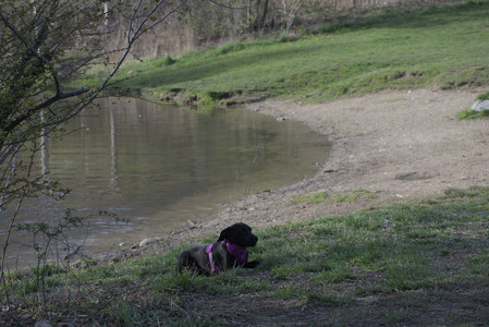 20250422_Dog Park and Birds__DSC0949_.jpg