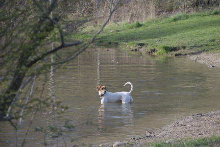 20250422_Dog Park and Birds__DSC0964_.jpg
