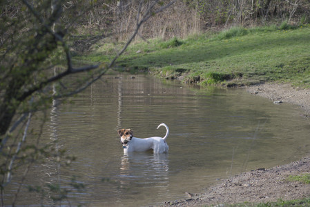 20250422_Dog Park and Birds__DSC0967_.jpg