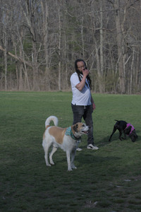 20250422_Dog Park and Birds__DSC0982_.jpg