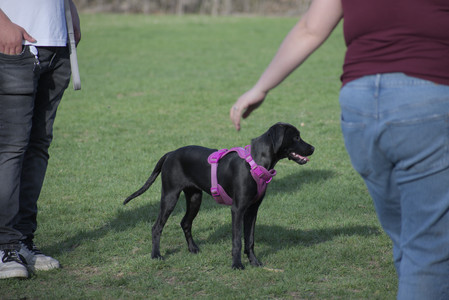 20250422_Dog Park and Birds__DSC0987_.jpg