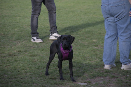 20250422_Dog Park and Birds__DSC0990_.jpg