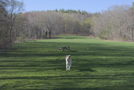 20250424_Dog Park__DSC0272_.jpg