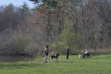 20250424_Dog Park__DSC0301_.jpg