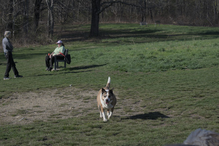 20250424_Dog Park__DSC0315_.jpg