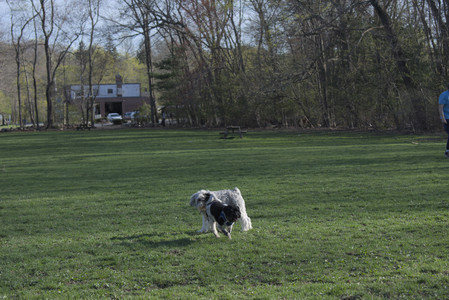 20250424_Dog Park__DSC0366_.jpg