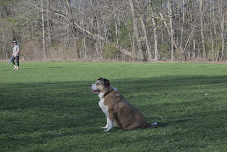 20250424_Dog Park__DSC0380_.jpg