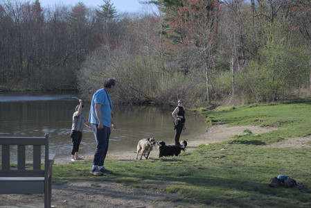 20250424_Dog Park__DSC0387_.jpg