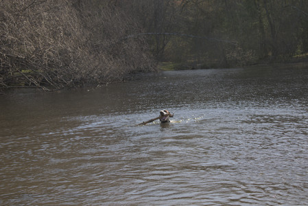 20250424_Dog Park__DSC0398_.jpg