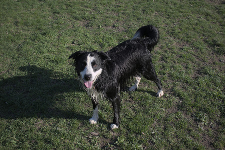 20250424_Dog Park__DSC0413_.jpg