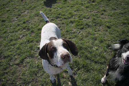 20250424_Dog Park__DSC0420_.jpg