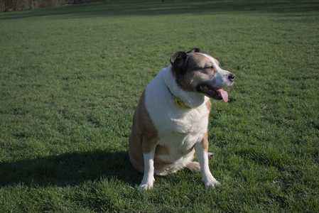 20250424_Dog Park__DSC0434_.jpg