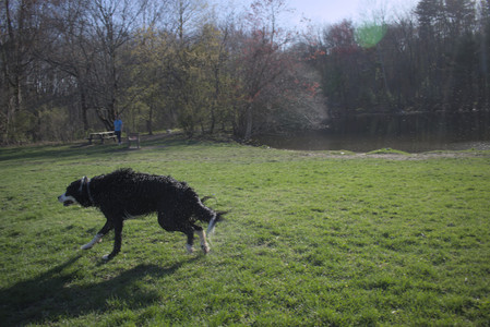 20250424_Dog Park__DSC0443_.jpg