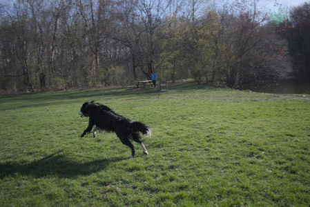 20250424_Dog Park__DSC0444_.jpg