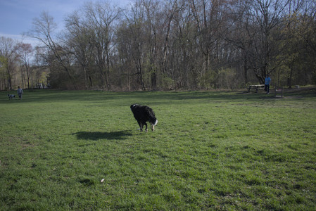 20250424_Dog Park__DSC0446_.jpg
