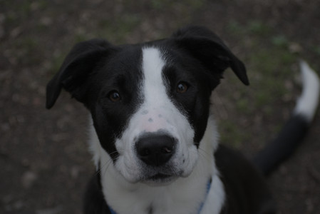 20250425_Dog park__DSC0337_.jpg