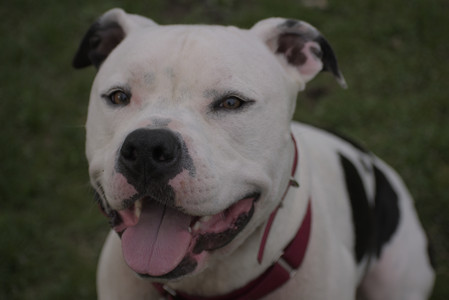 20250429_Plants and Dog Park__DSC0151_.jpg