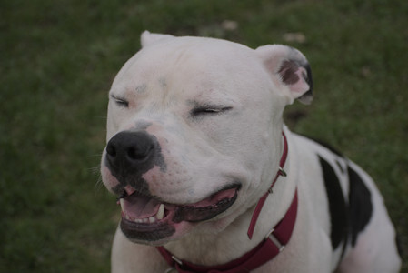 20250429_Plants and Dog Park__DSC0152_.jpg