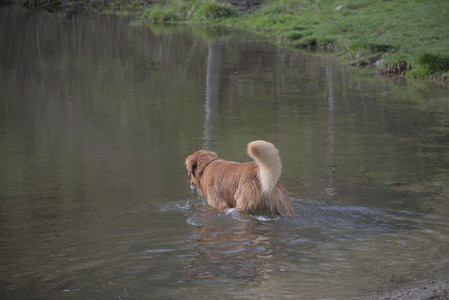 20250429_Plants and Dog Park__DSC0165_.jpg