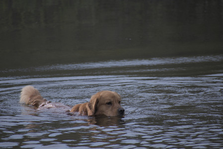 20250429_Plants and Dog Park__DSC0170_.jpg