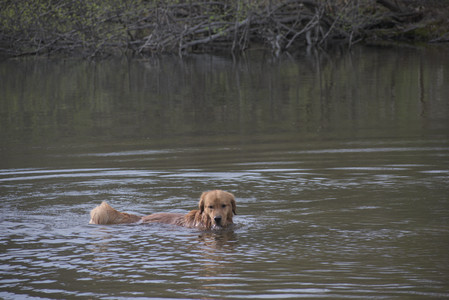 20250429_Plants and Dog Park__DSC0174_.jpg