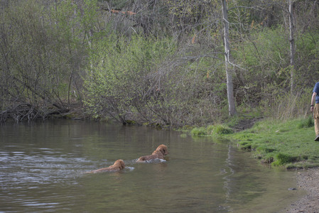 20250429_Plants and Dog Park__DSC0183_.jpg