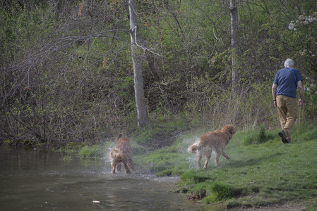 20250429_Plants and Dog Park__DSC0186_.jpg
